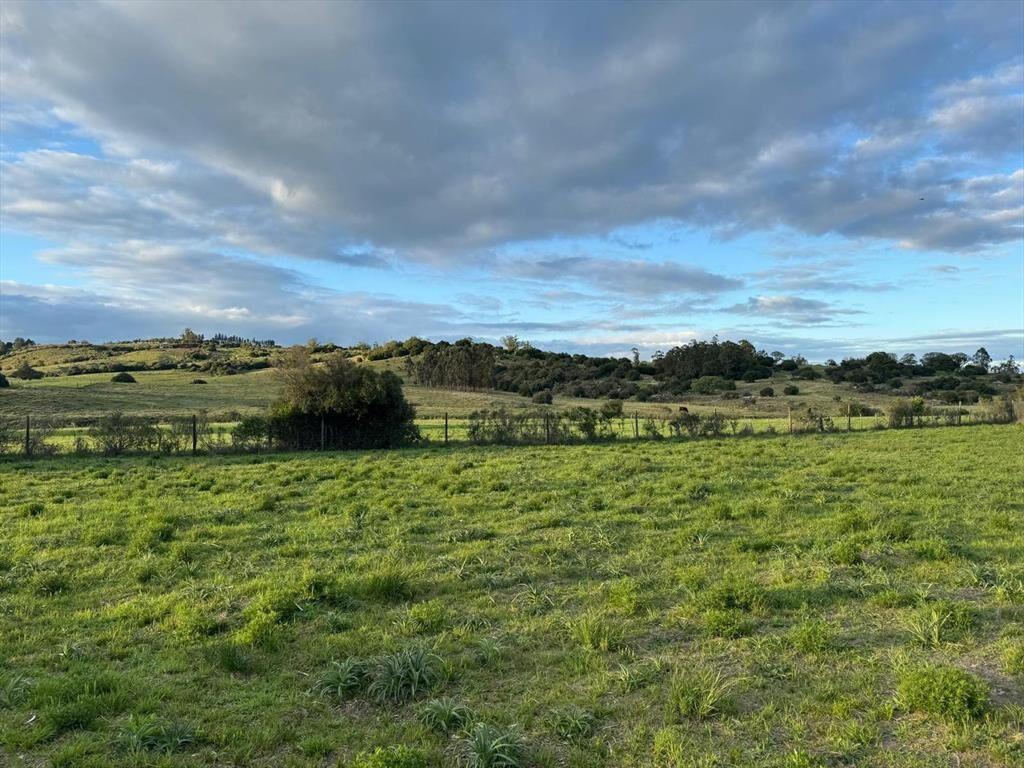 Terreno de 2000mts en venta en Pueblo Edén