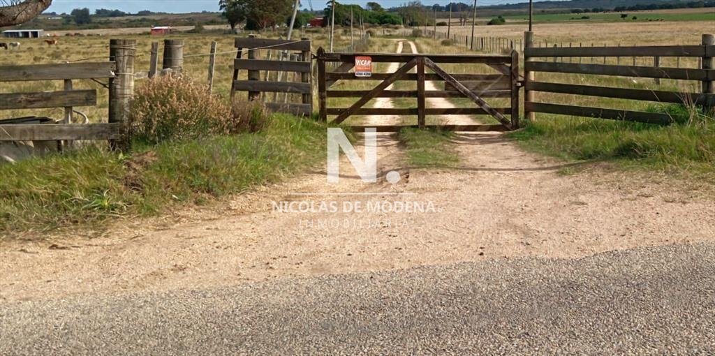Campo a pocos metros de Ruta Nacional número 9