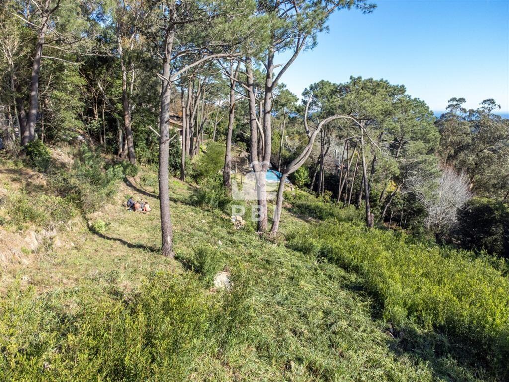 Terreno en venta en Las Cumbres, Punta Ballena  -