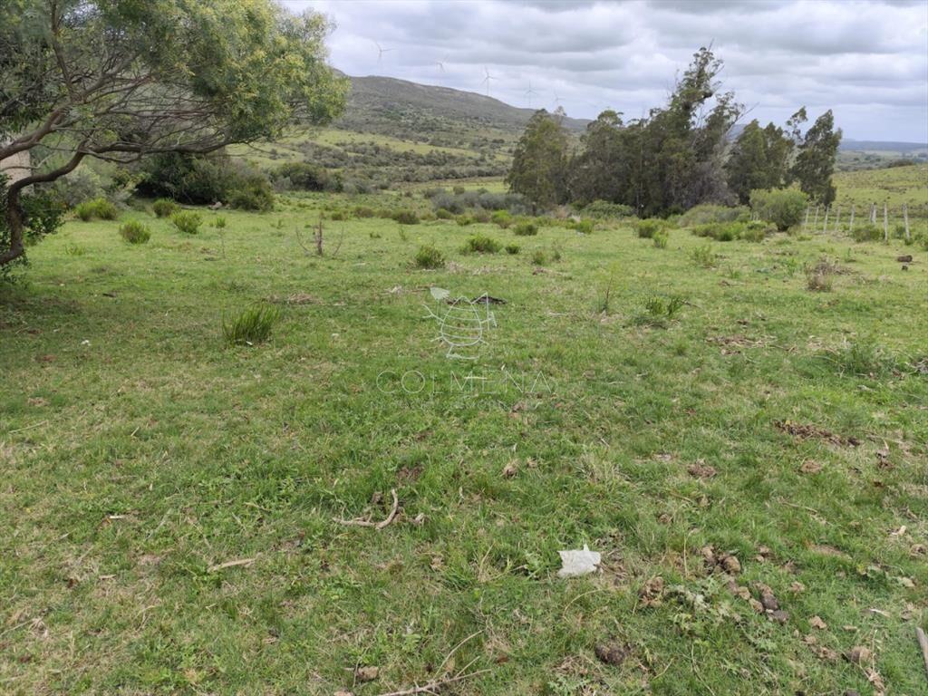 Campo 138 has en las Cañas