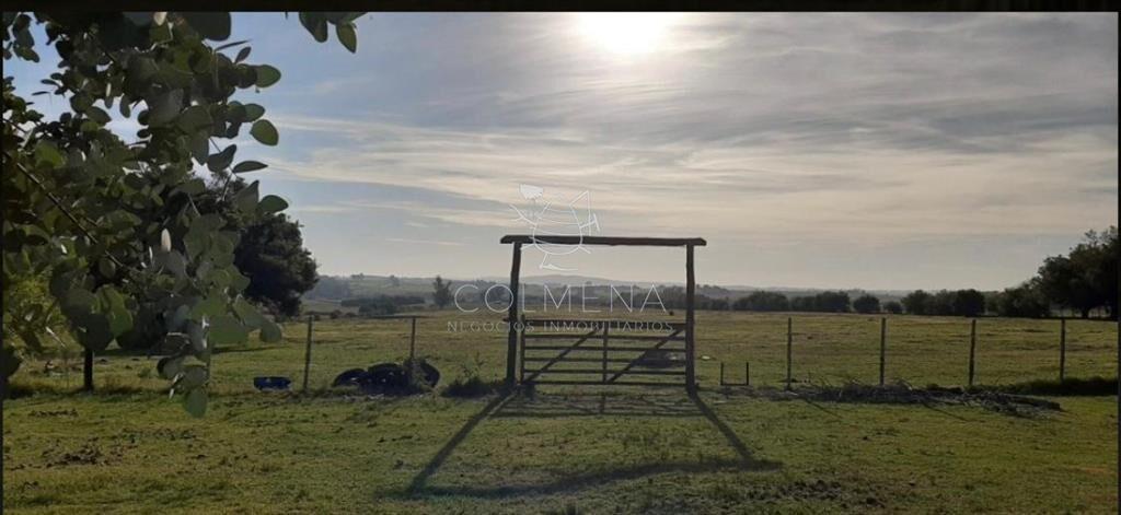 Campo 5 has con linda casa a 25 km de Punta del