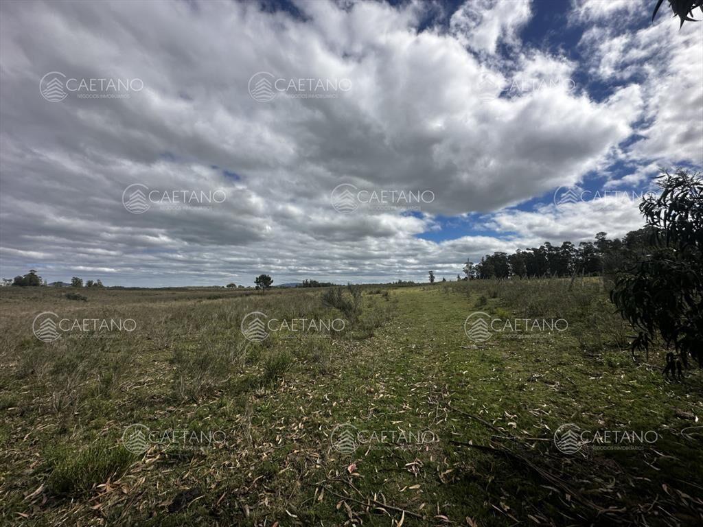 Venta chacra km 116 ruta 9. Cerca de Pan de