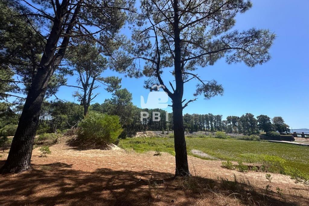Terreno en venta en Club del Lago, Punta Ballena.