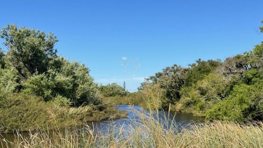 Se venden 2 chacras juntas o separadas en Paso de