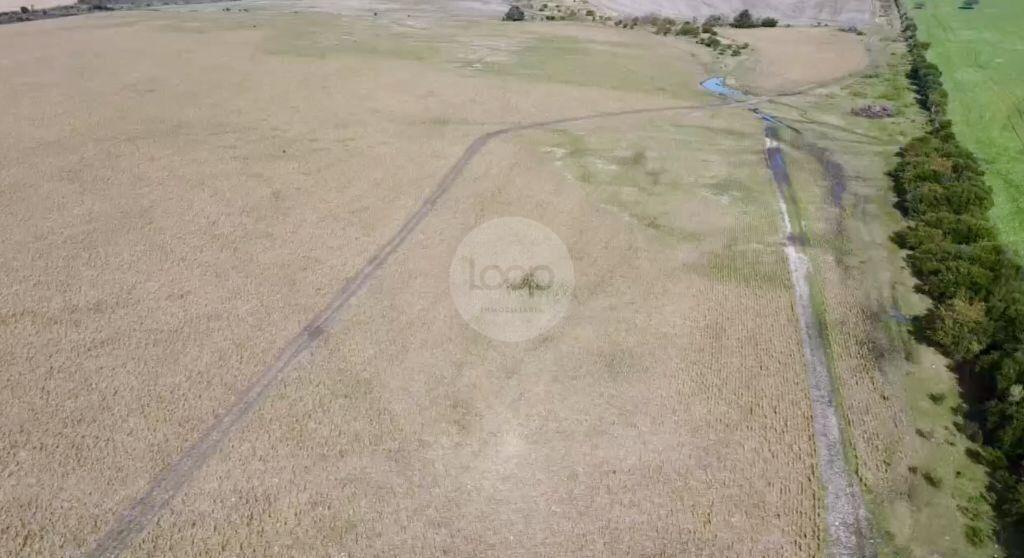 Venta de Campo en Soriano de 264ha, zona del Cololo