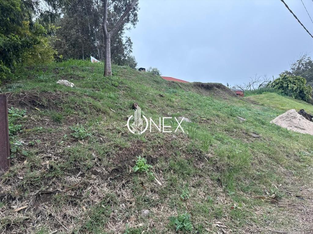 Se vende terreno frente a ruta interbalnearia en