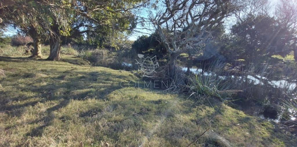 Campo en Las Garzas frente ruta y cerca del mar.