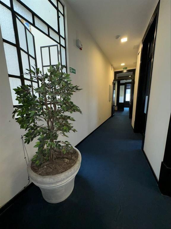 CONSULTORIO, ESTUDIO, PLANTA DE OFICINAS EN CIUDAD VIEJA