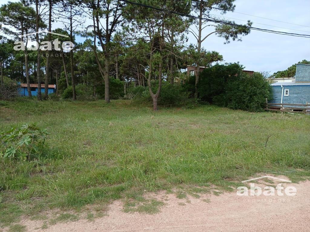 Venta Terreno en Punta del Diablo
