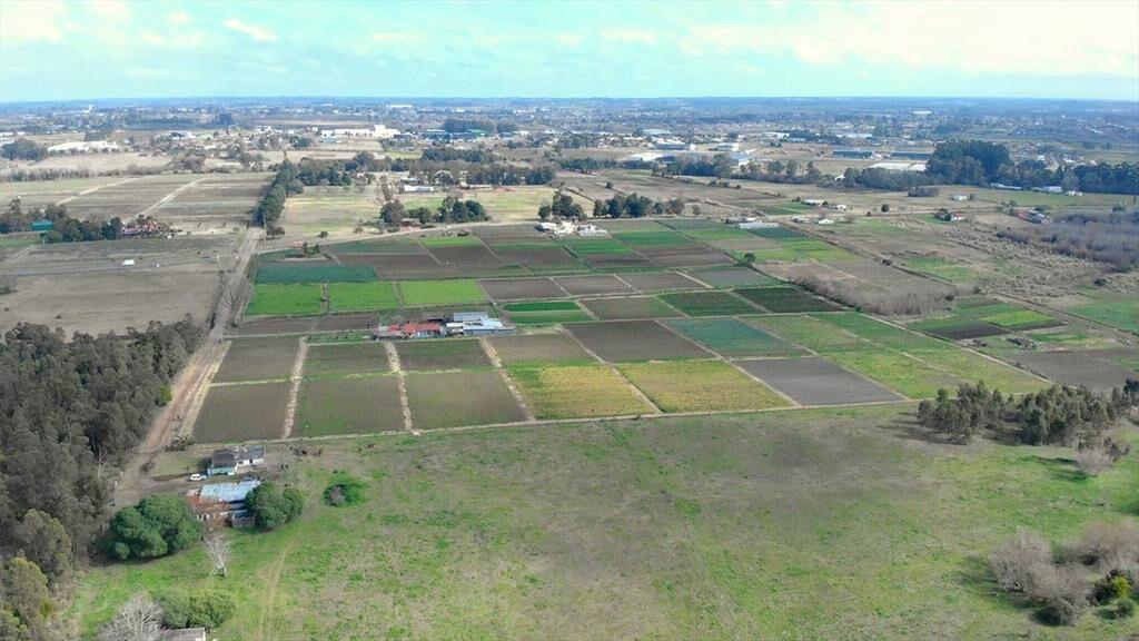Venta campo de 7 Ha. en Camino Los Horneros