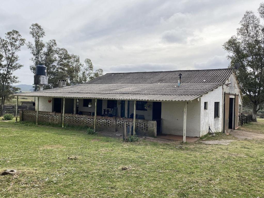 Campo Ganadero I Maldonado I 313 has