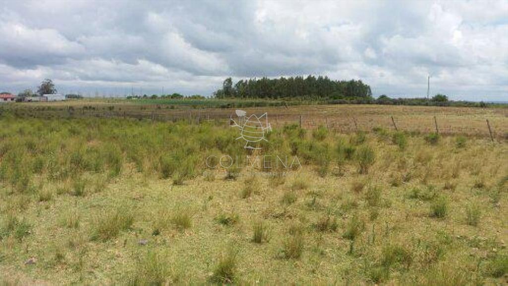 Campo 10 has con 6799 m2 cerca de ruta 8