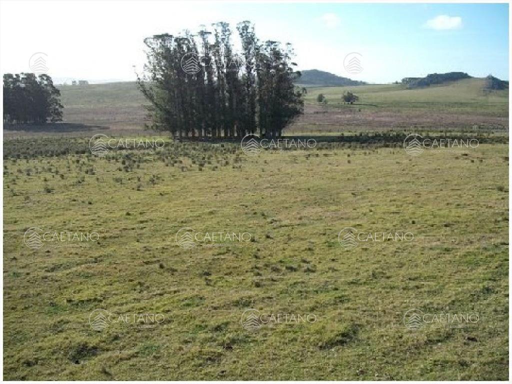 Vendo chacra 5 hectareas, a metros de ruta 12, y