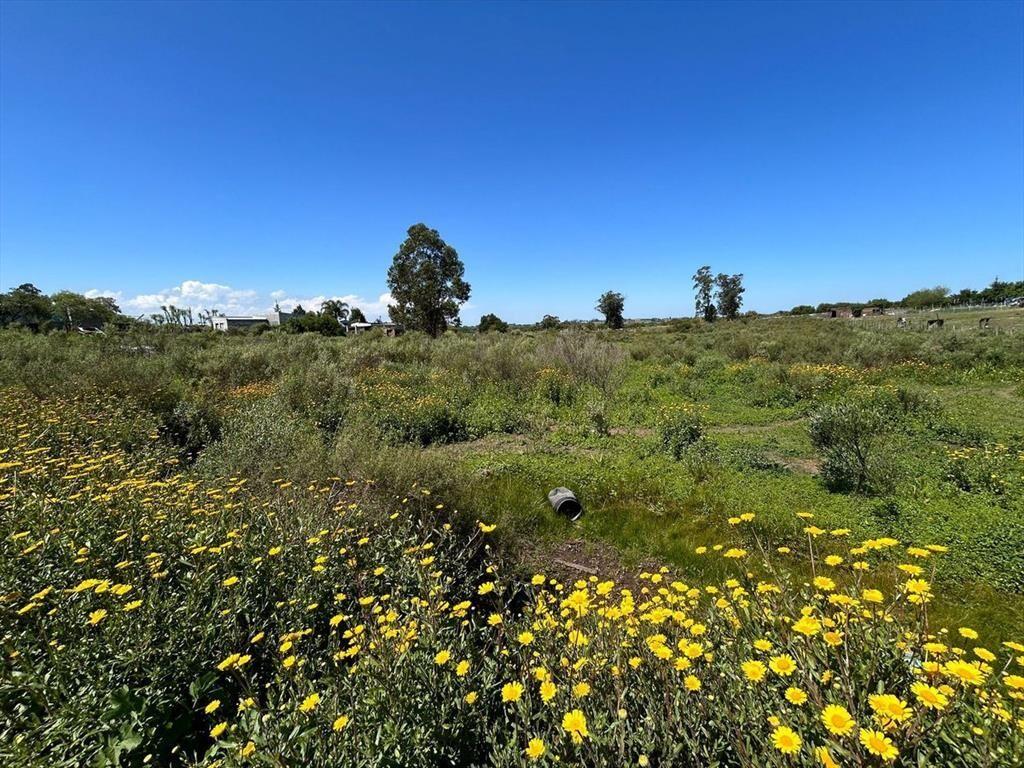 VENTA DE TERRENO SAN CARLOS MALDONADO