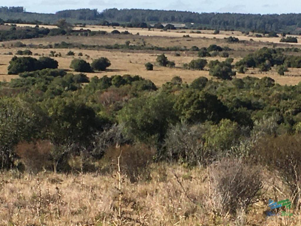 47 Has a 20 minutos Jose Ignacio y 3 kms de R.9