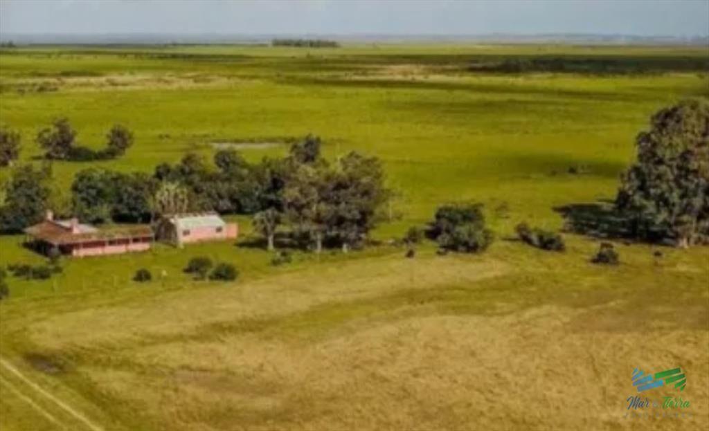 Excelente Estancia Completa Agrícola-Ganadera, y