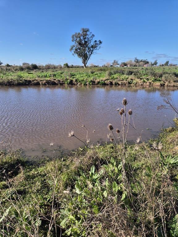 VENTA CHACRA CON CASA SANTA ROSA CANELONES