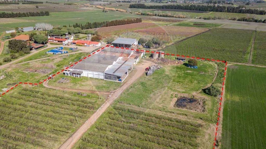 VENTA NAVE LOGÍSTICA SOBRE RUTA 5 CANELONES