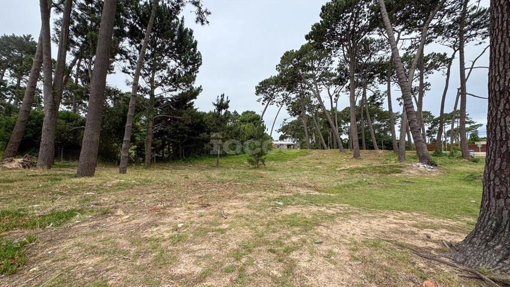 2 TERRENOS CON EXCELENTE UBICACIÓN EN PUNTA DEL ESTE