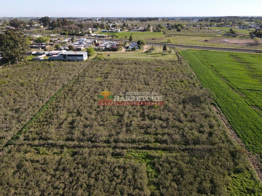 Terreno urbano en Progreso, 10.194 m2 a 600 m de