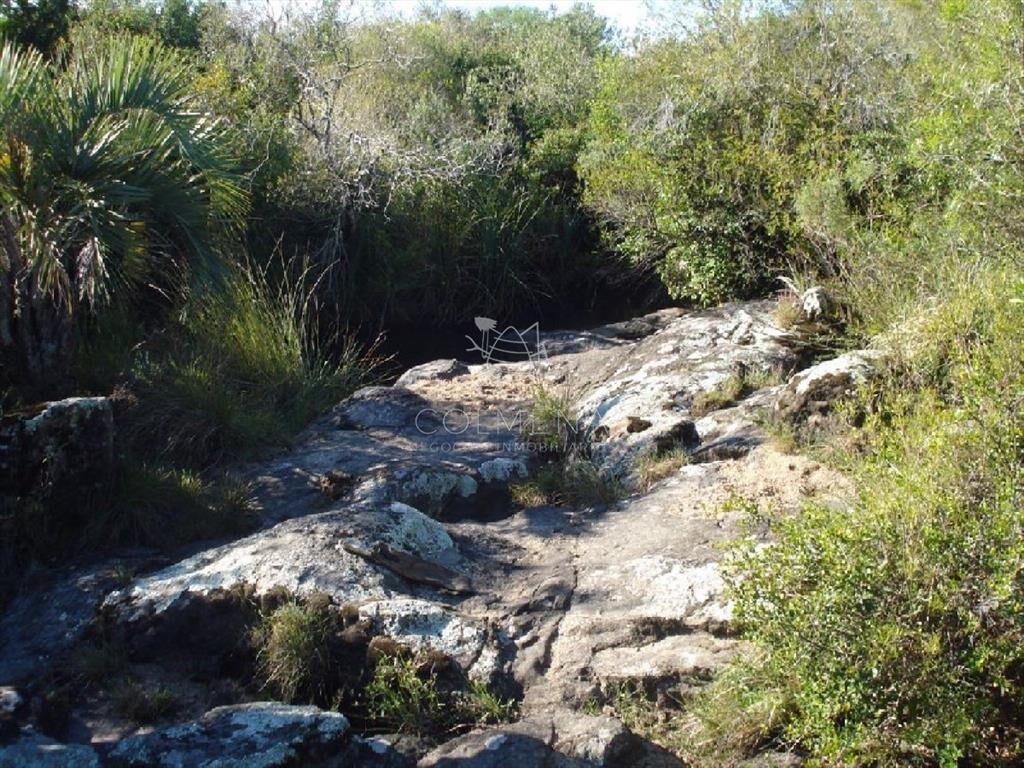 Campo 98 has con 2891 m2 en Carape cuenta con de
