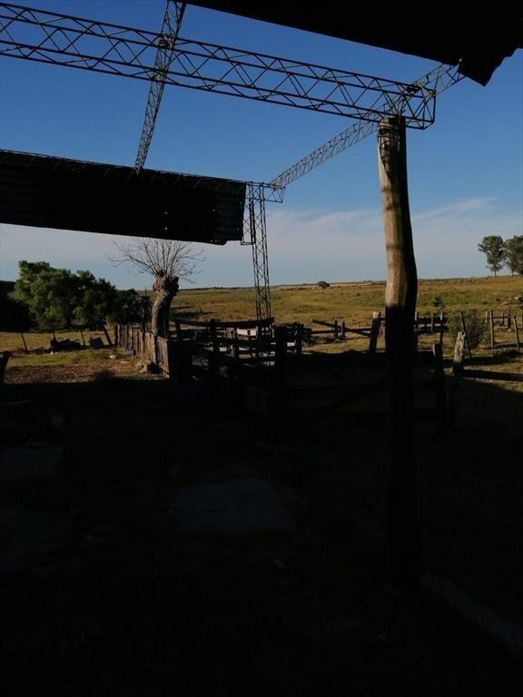 CAMPO EN VENTA- 948 HECTAREAS 6430m2