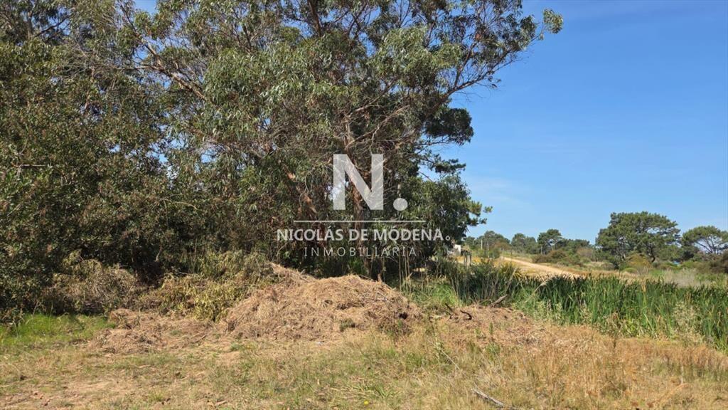 Vende terreno de 4223 m2 en Jose Ignacio