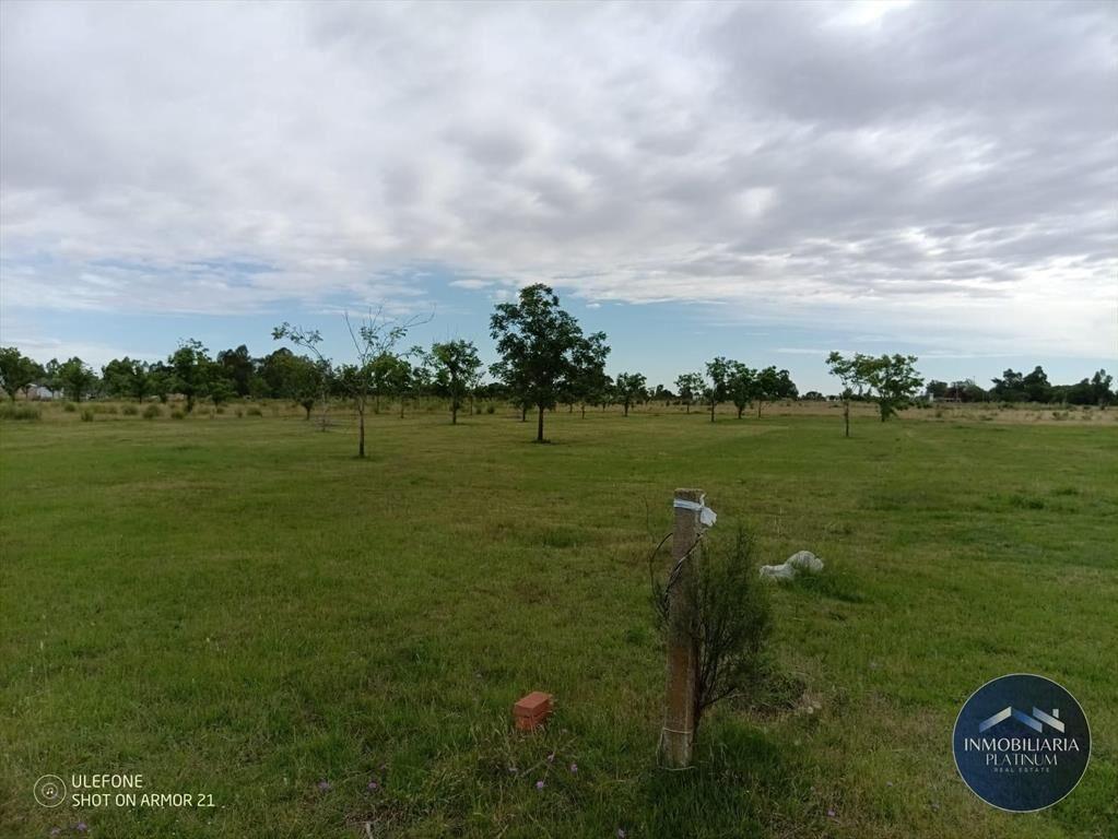Campo en venta de 9503m2 ubicado en Santa Monica