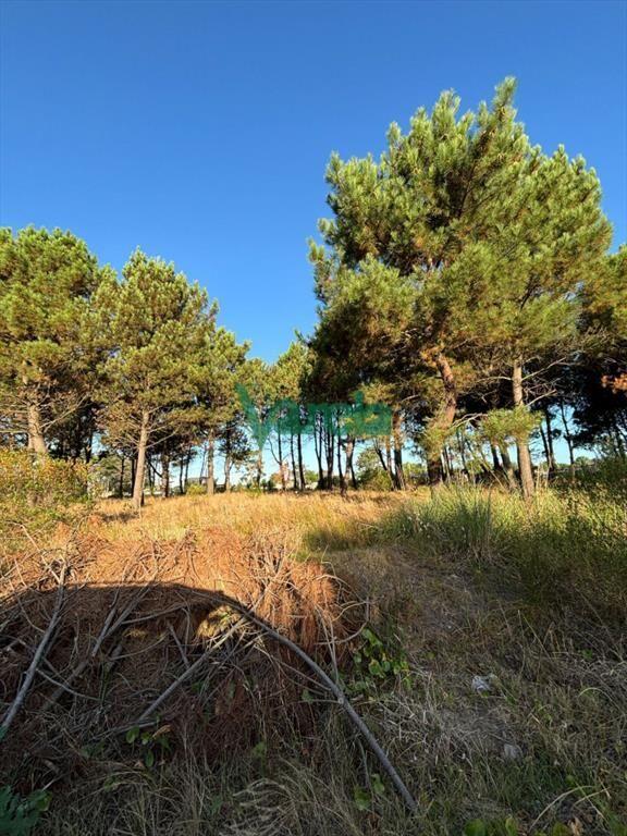 Pando Barros blancos Terrenos financiados !!
