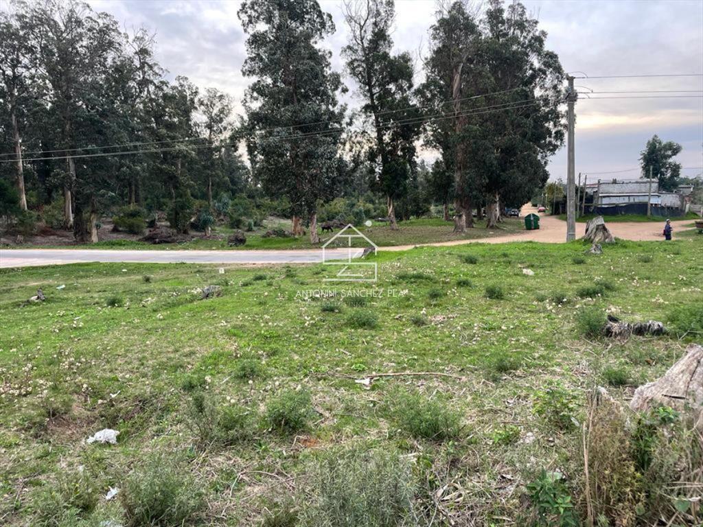 Venta terreno Punta del este