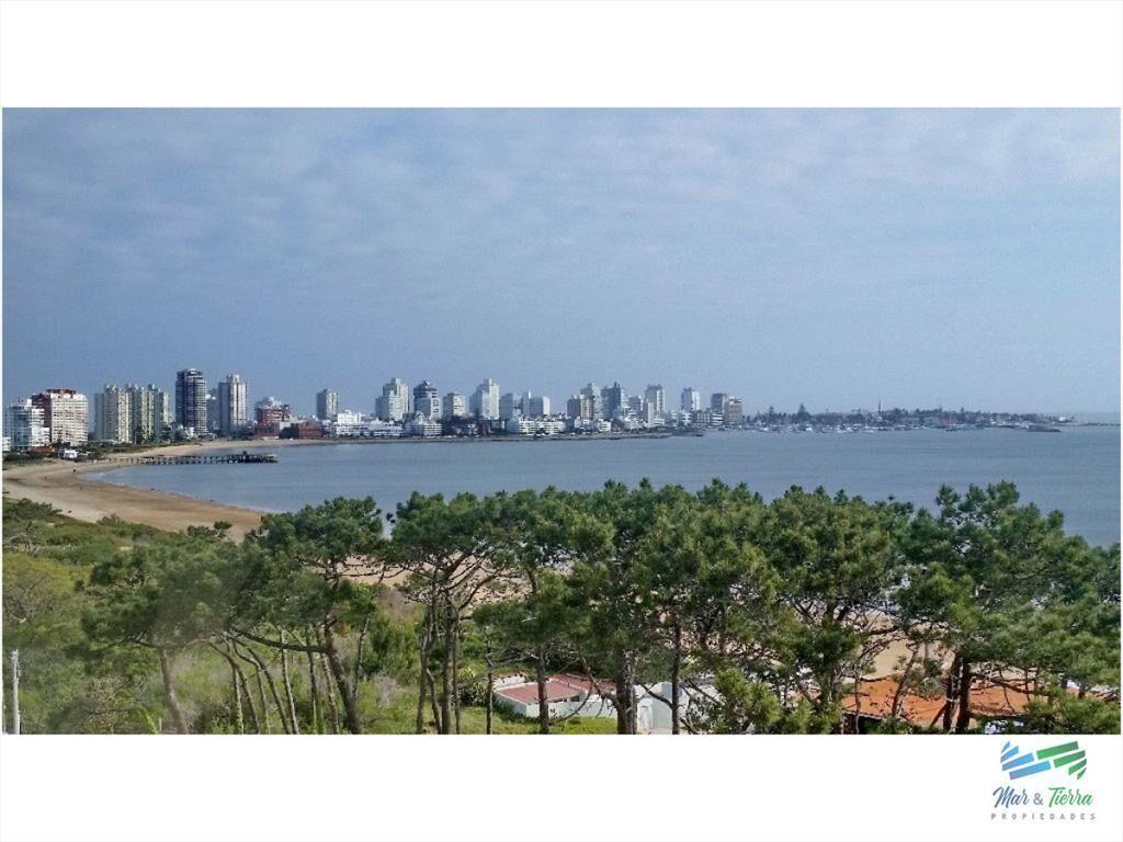 Apartamento en venta y alquiler, primera línea