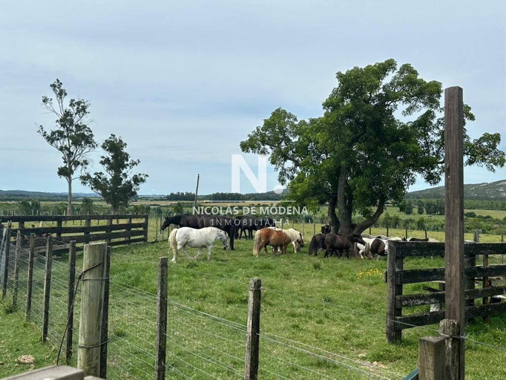 Chacra en Venta de 53 hectareas en Pan de Azucar