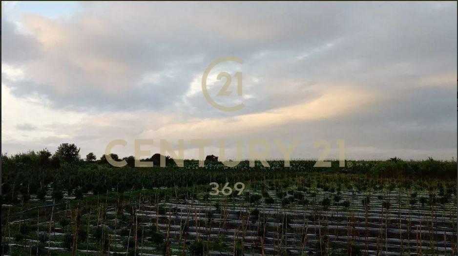INVERSION CHACRA 6.8 HA -CON INVERNADEROS-PRODUCCION CULT...
