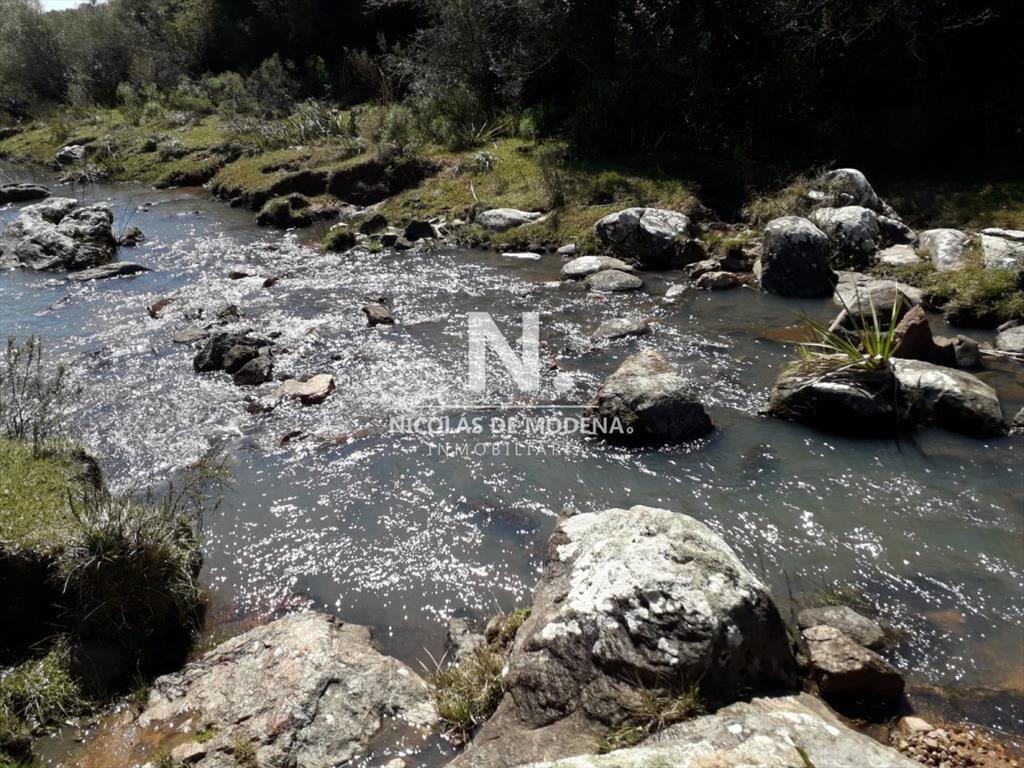 Campo en Aigua , Maldonado, 62 Hectáreas