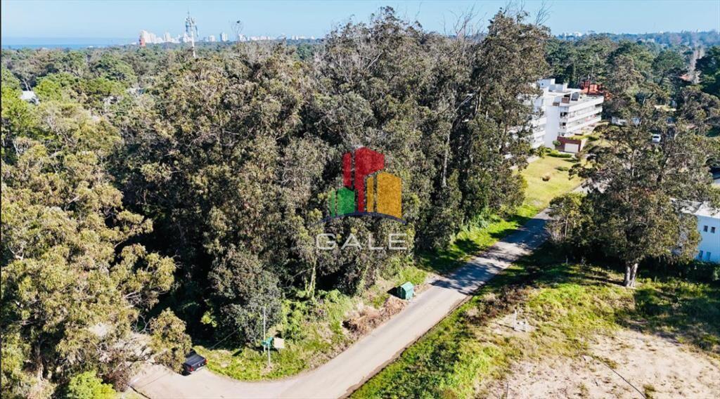 Lote apto edificio Rincon del Indio
