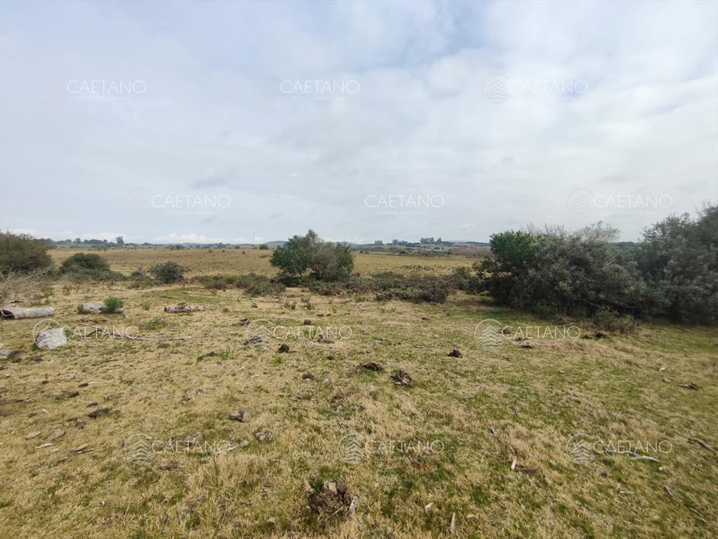 Venta chacra con costa arroyo. Ruta 12 Maldonado