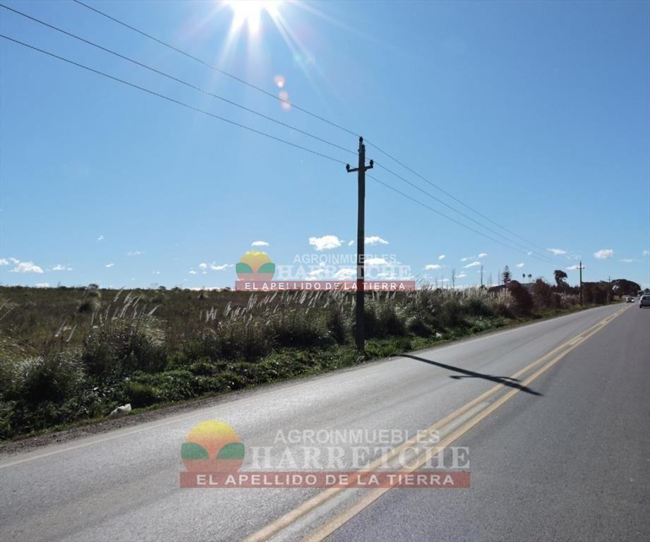 Chacra en venta 7 has sobre Ruta, Canelón Chico