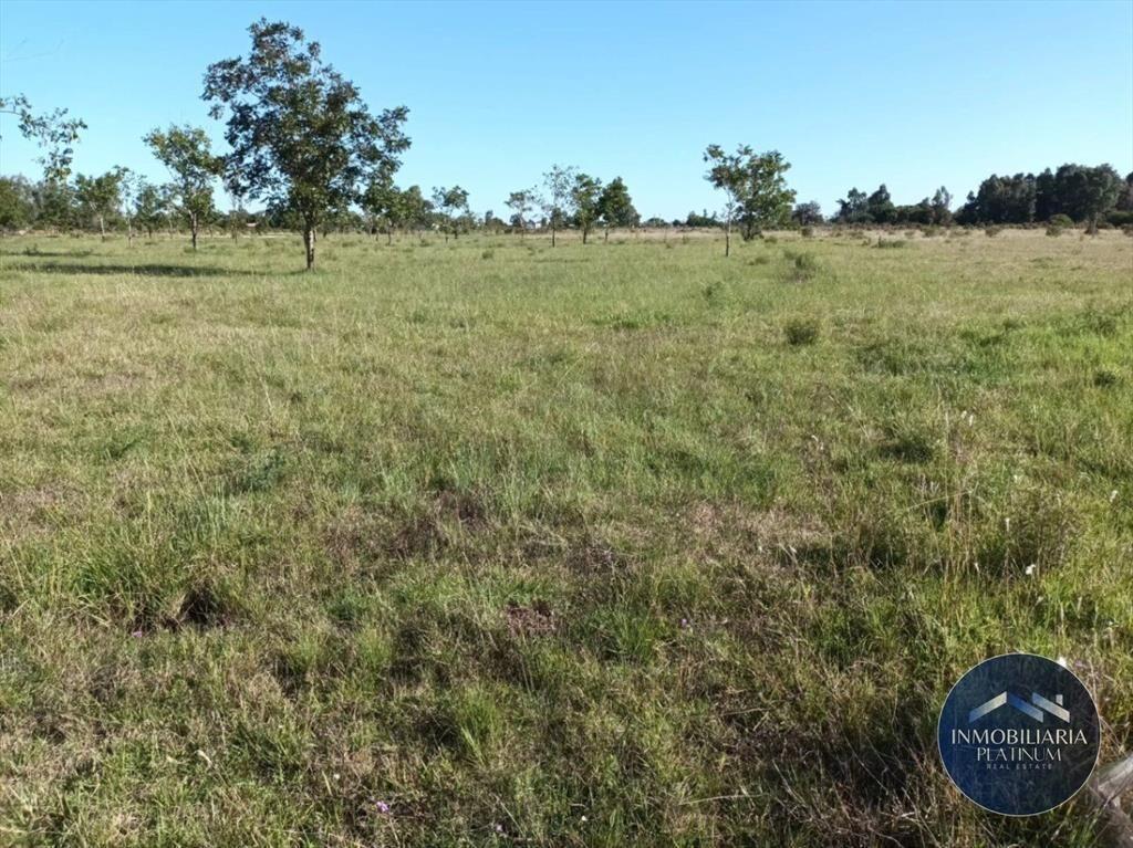 Campo en venta de 9503m2 ubicado en Santa Monica