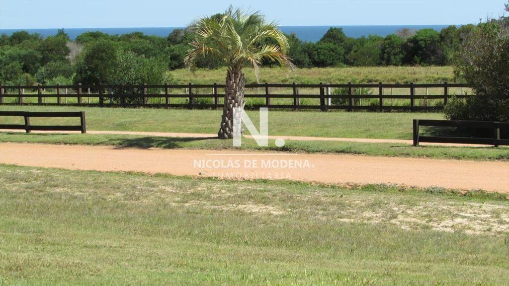 Terreno en venta en Las Garzas.