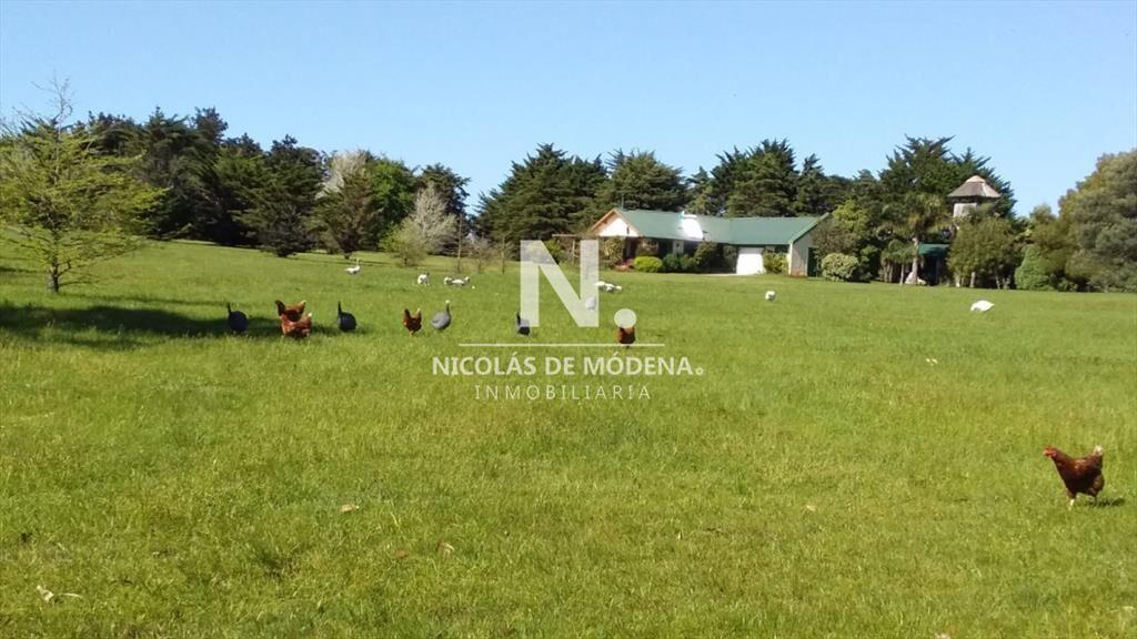 En venta chacra de 6hectareas en Jose Ignacio.