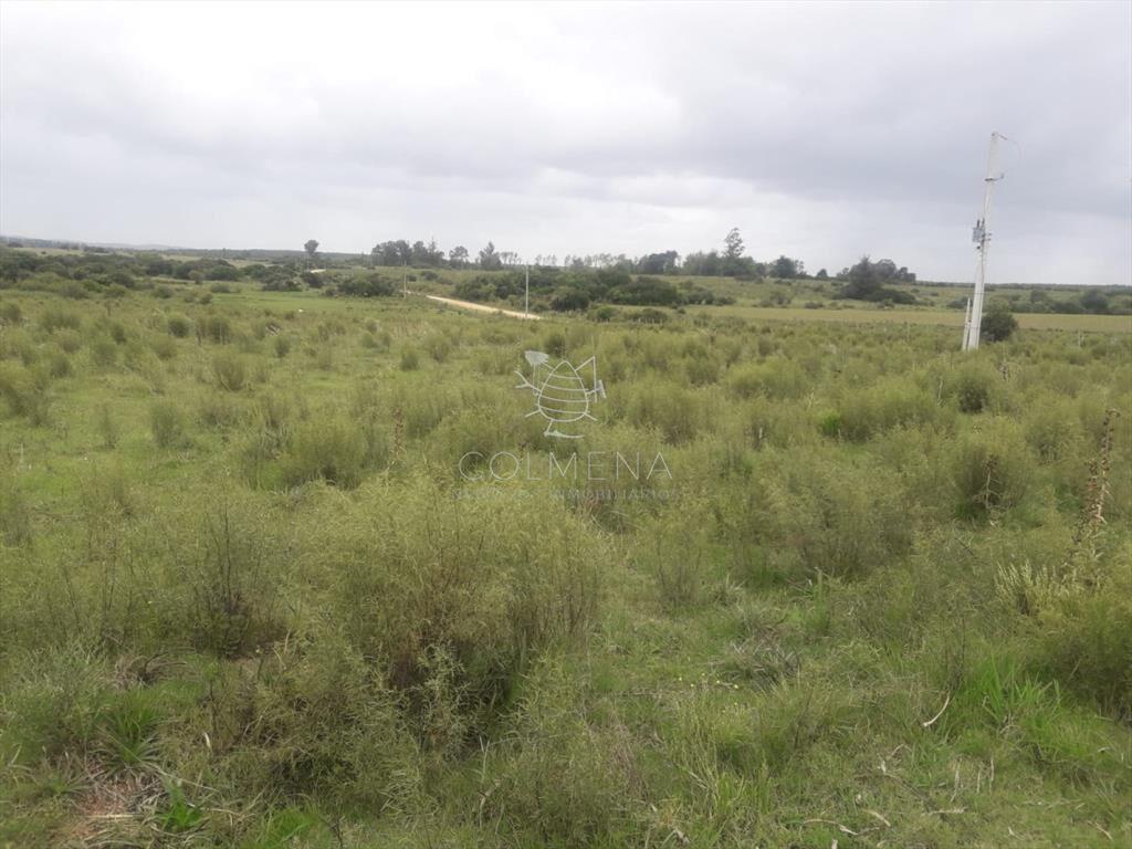 Campo de 5 has con 5891 m2