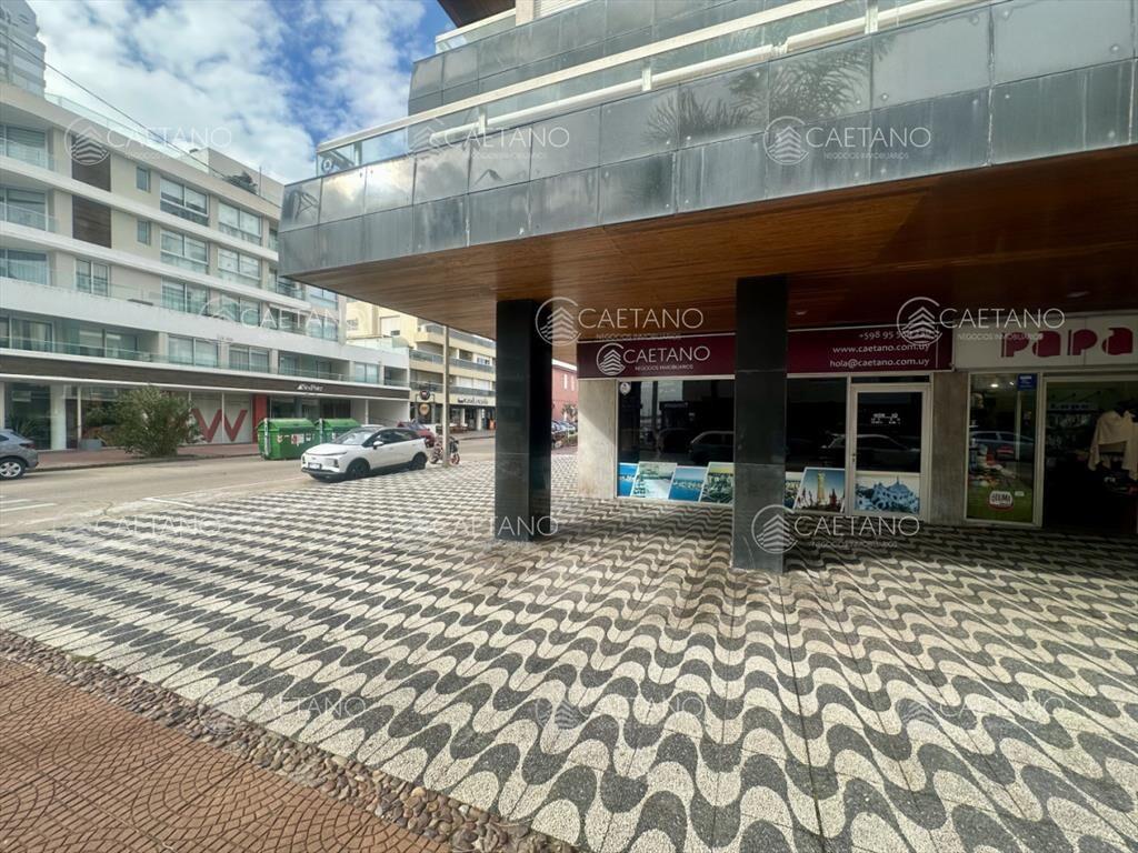 Alquiler anual, local comercial. Peninsula, Punta