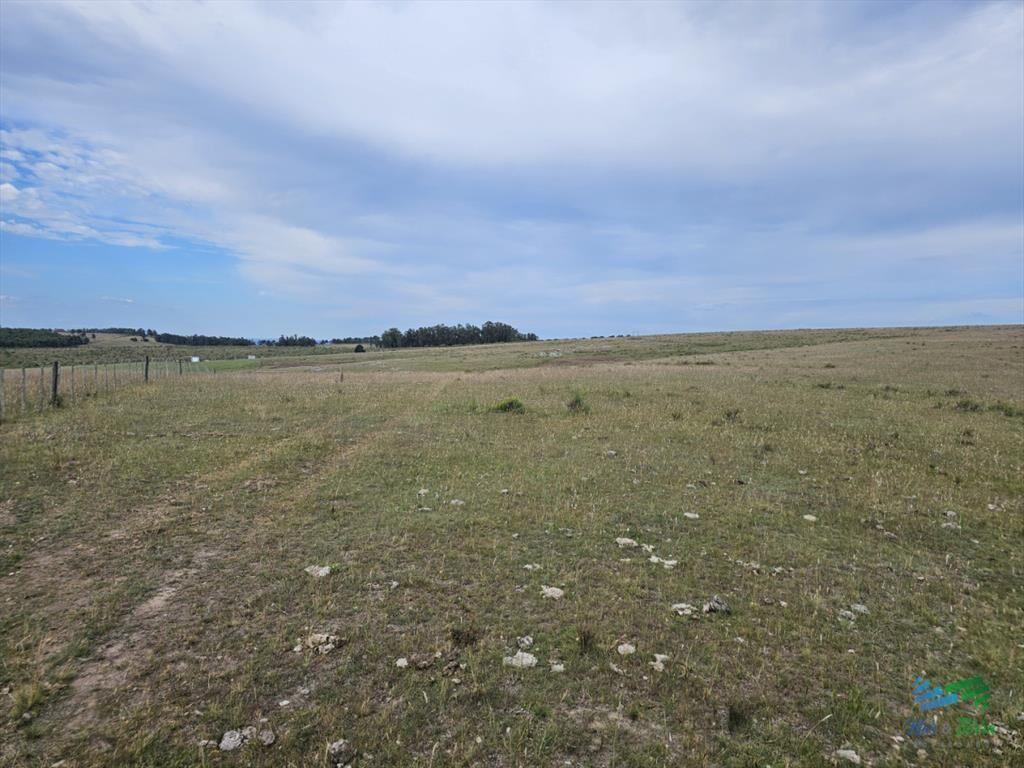 En venta chacra 3 hectareas, proxima ruta 39, a