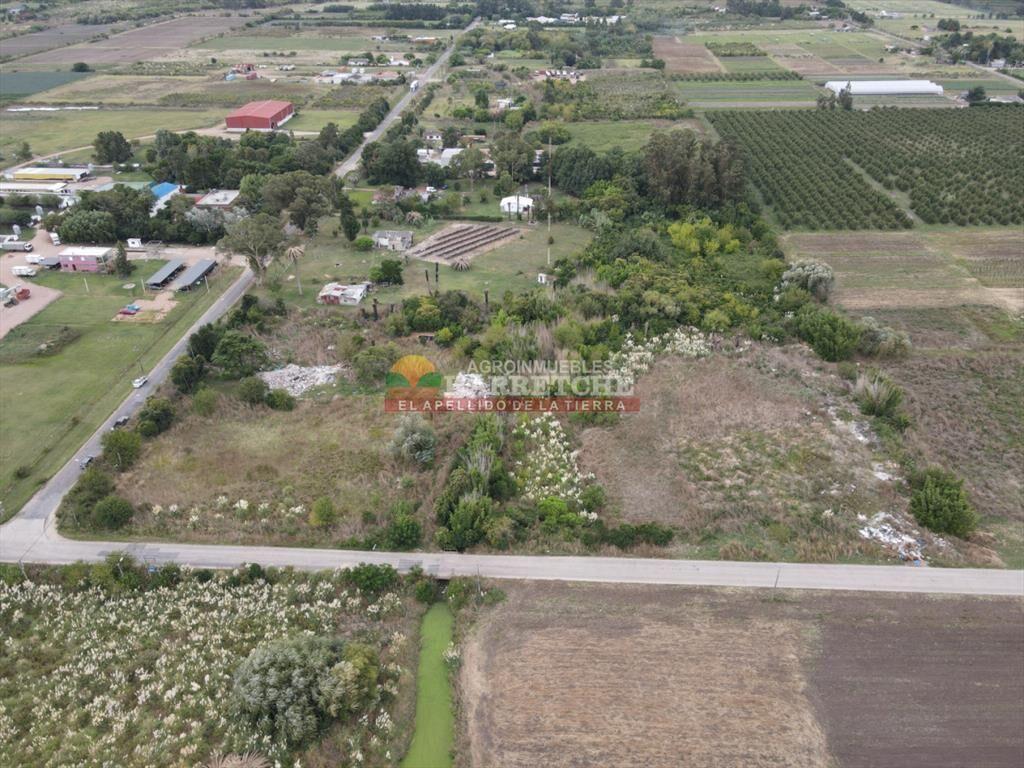 Terreno en Paso de la Arena, 15.789 m2, excelente