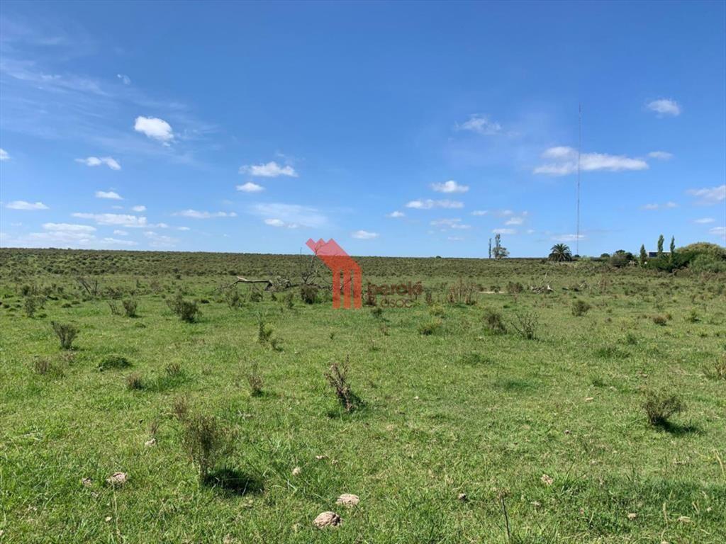 Venta de chacra productiva Excelente índice 193