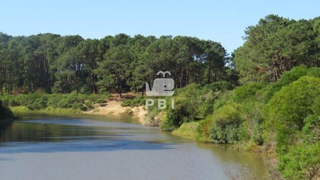 Terreno en venta Chihuahua  - Ref : PBI919