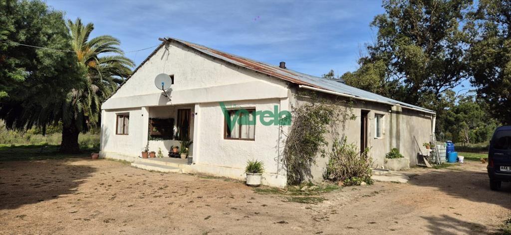 Venta de Chacra de 6 hectareas en Santa Lucia del