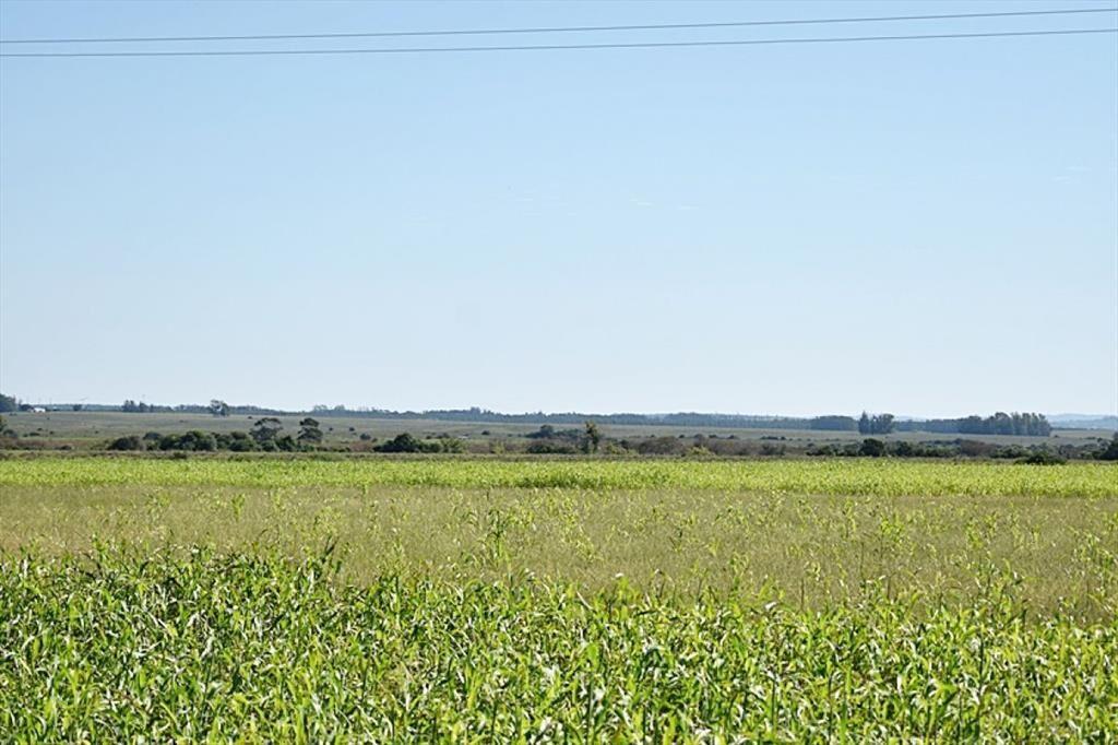 36 ha. sobre ruta 9