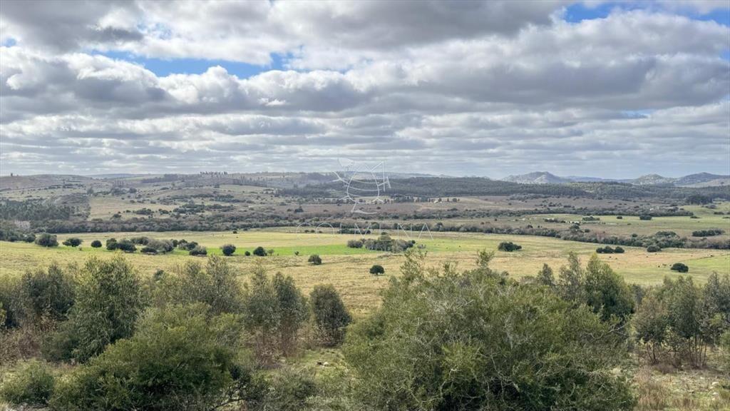 Chacra 5 has en Campanero con buena vistas y