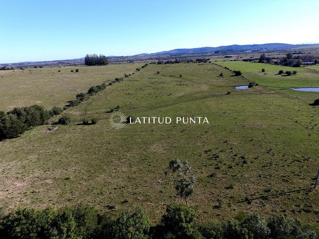 Campo de 22 has próximo a San Carlos y Punta del